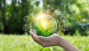 Formation Environnement